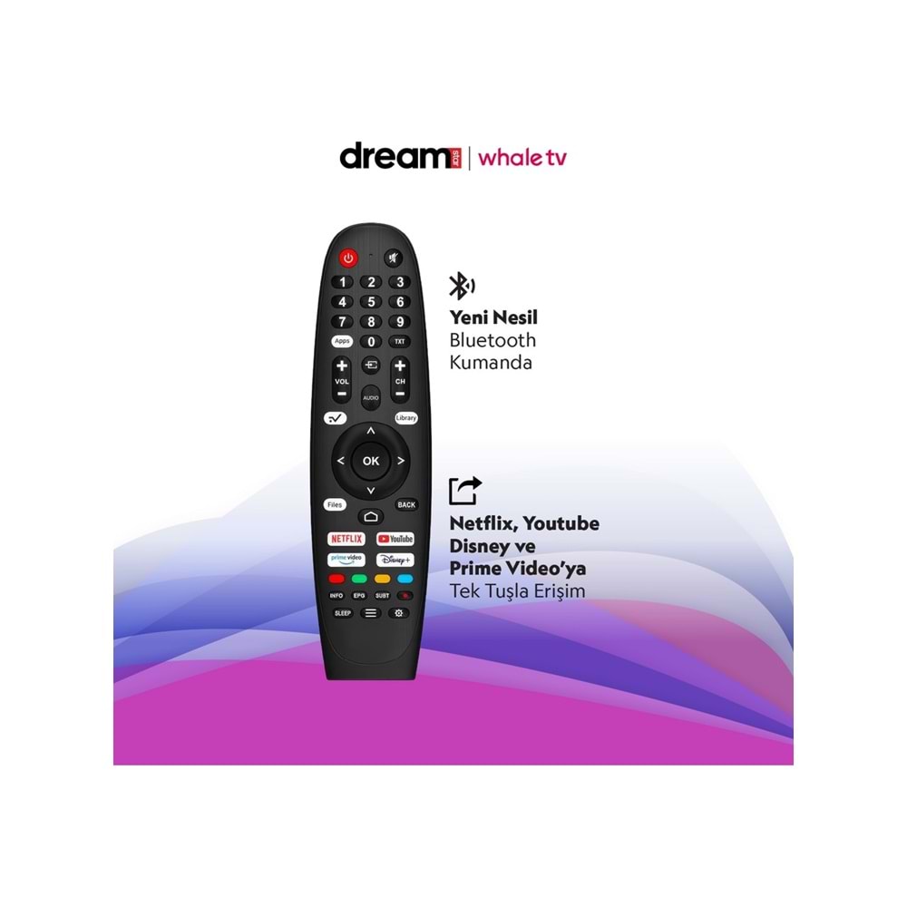 DREAMSTAR WHALE TV 43DSE101 43 İNÇ TV