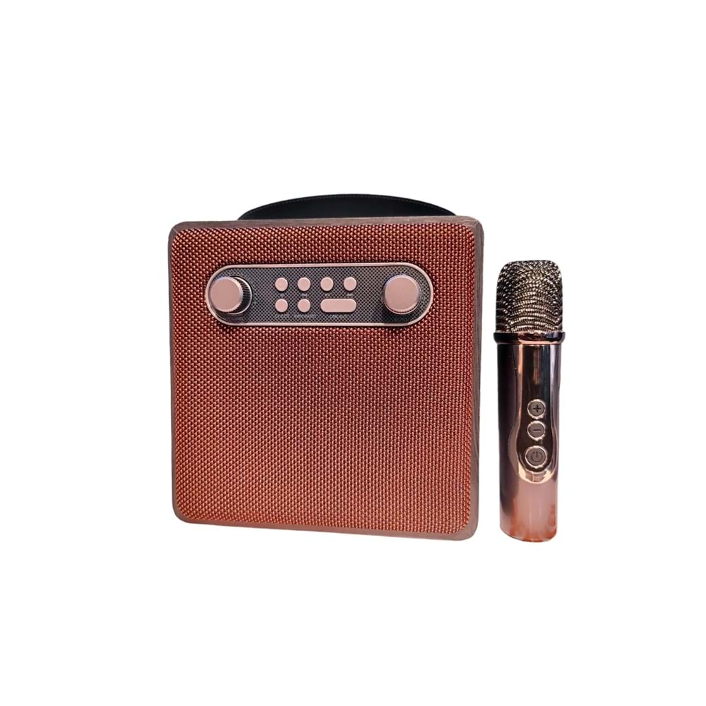 BRODU BTS-1688 TAŞINABİLİR ŞARJLI BLUETOOTH HOPARLÖR KARAOKE MİKROFON