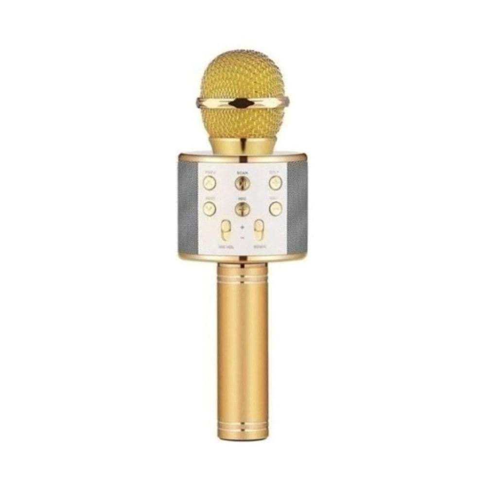 GLRTECH Q16 WIRELESS KARAOKE MİKROFON