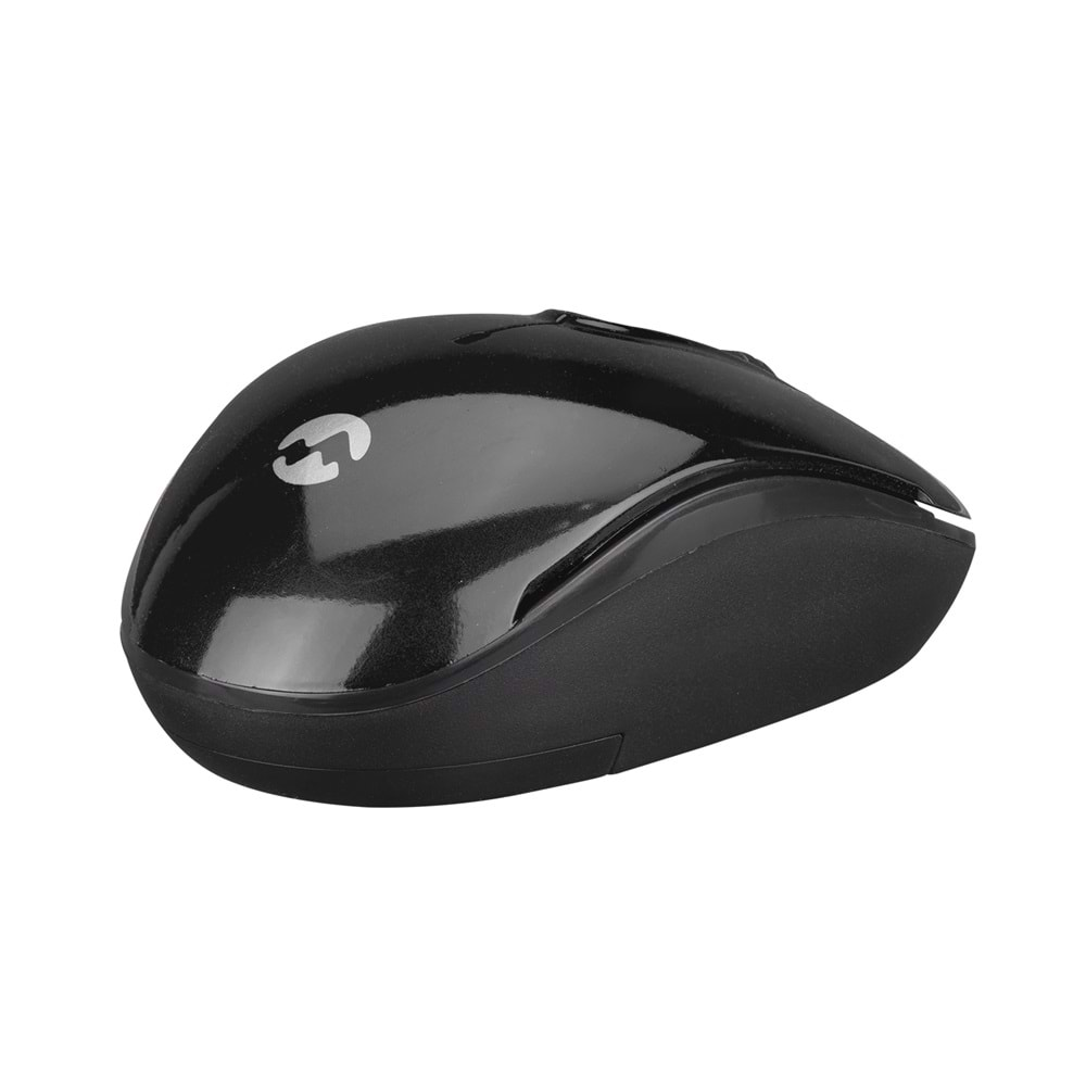 EVEREST SMW-666 MOUSE WIRELESS