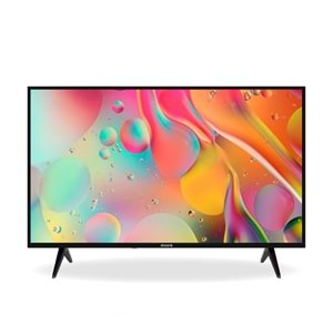 DREAMSTAR UYDULU TV 24DSE100 24 İNÇ (61 CM) LED TV