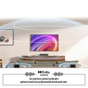 DREAMSTAR UYDULU TV 24DSE100 24 İNÇ (61 CM) LED TV