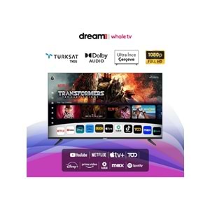 DREAMSTAR WHALE TV 43DSE101 43 İNÇ TV