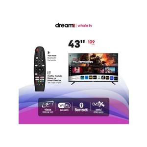 DREAMSTAR WHALE TV 43DSE101 43 İNÇ TV