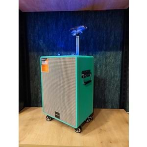 HEPU HEPU-901 Profesyonel Bluetooth Hoparlör Kablosuz 1 Ad Kablosuz Mikrofonlu 8'inc Subwoofer Ultrabass Hd