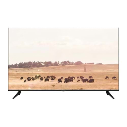 65¨ UHD Google TV