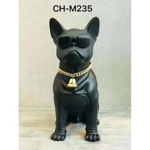 GLRTECH M235 KÖPEK MÜZİK ÇALAR