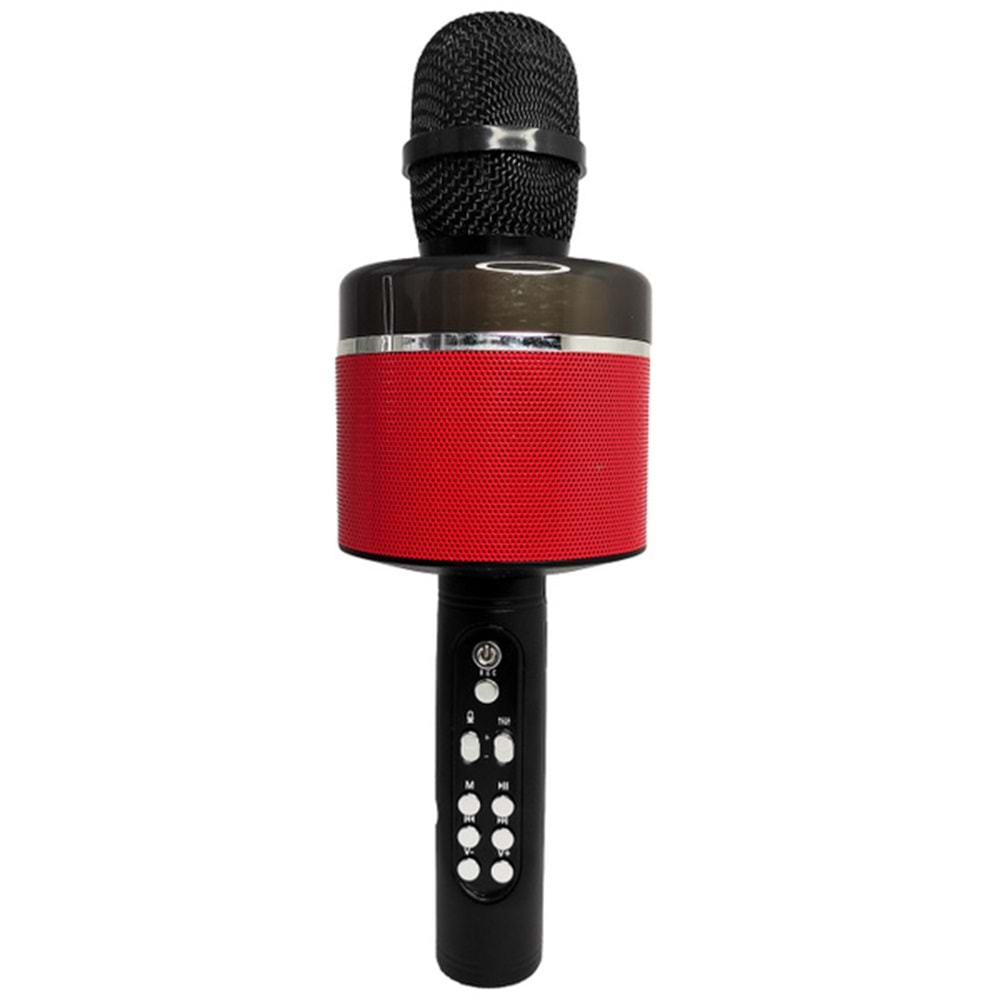 GLRTECH S-088 WIRELESS KARAOKE MİKROFON